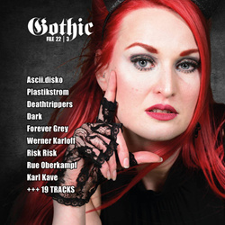 VA - Gothic File 22-3 / Young and Cold Sampler Vol. 7 (2022)