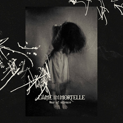 L'âme Immortelle - War of silence (Single) (2023)