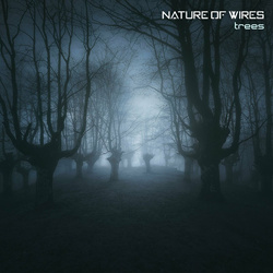 Nature of Wires - Building Reflections (2022)