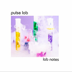Pulse Lab - Lab Notes (2023)