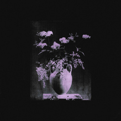 Ringfinger - In A Black Frame (2023)