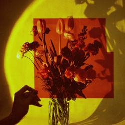 Selfishadows - Everything Changes (2023)
