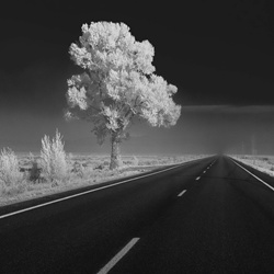 Shadows and Mirrors - Roads (2023)