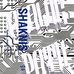 Shaknis - Analog Path EP (2022)
