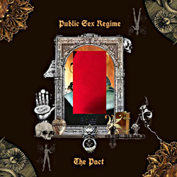 VA - PUBLIC SEX REGIME - The Pact (2023)