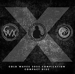 VA - Cold Waves 2022 Compilation (CD) (2022)