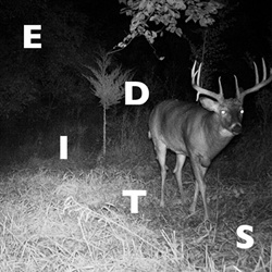 Broken English Club - The Artificial Animal Edits (EP) (2023)