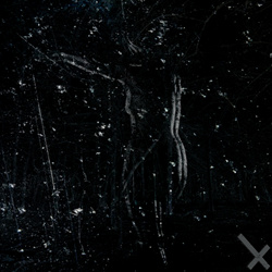Damien Hearse - ALONE-APART (2024)
