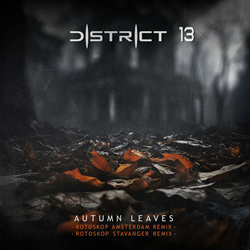 District 13 - Autumn Leaves (The Rotoskop Remixes) (2024)