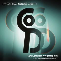 Ironic Sweden - Universe Friend 23 (Remixes) (2024)