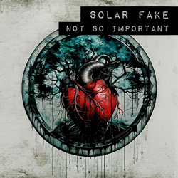 Solar Fake - Not so Important (Single) (2024)