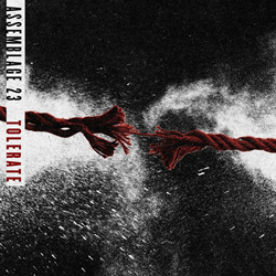 Assemblage 23 - Tolerate (Single) (2025)