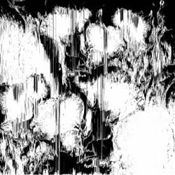 Binary Order - White's Dream / Black's Nightmare (2025)