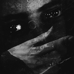 FEVR - Vacant (2025)