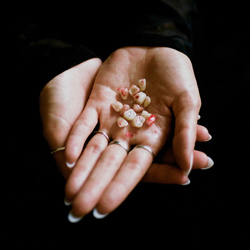 Holograph - TEETH (2025)