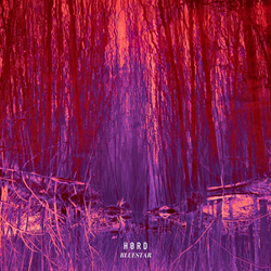 Hørd - Fade (single & remixes) (2025)