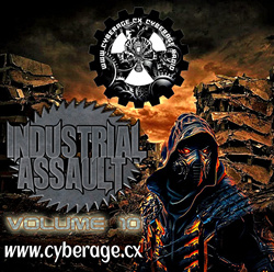 VA - INDUSTRIAL ASSAULT VOL.10 (DISC 1) (2025)