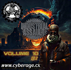 VA - INDUSTRIAL ASSAULT VOL.10 (DISC 2) (2025)