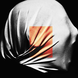 Jah PHNX - It's Okay To Scream (2025)