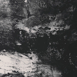 Lambwool - Ashes (2025)