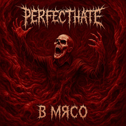 Perfecthate -   (2025)