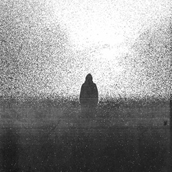 Petrified Entity - Mistake (2025)