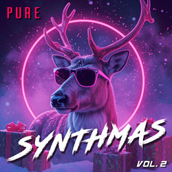 VA - Pure Synthmas, Vol. 2 (2025)