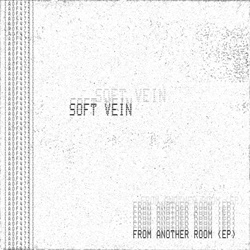 SOFT VEIN - FROM ANOTHER ROOM (EP) (2025)