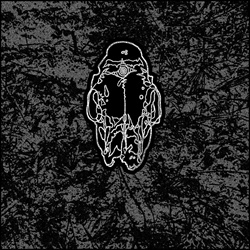 STCLVR - Aggressor Appendage: Lost Tracks 2020-2025 (2025)