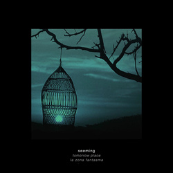 Seeming - Tomorrow Place (Single) (2025)