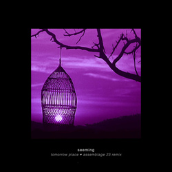 Seeming - Tomorrow Place (Assemblage 23 Remix) (2025)