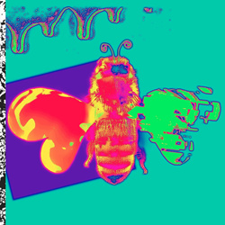 Soft Kill - Feel This High (Single) (2025)