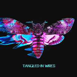 Sun's Spectrum - Tangled In Wires (Single) (2025)