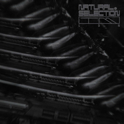 Swarm Intelligence - Radiance EP (2025)