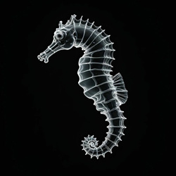 The New Division - Sabotage (EP) (2025)