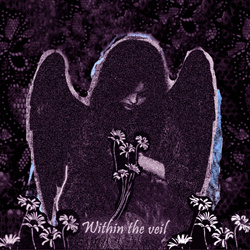 Vioflesh - Within The Veil (Single) (2025)