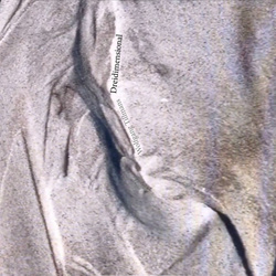 Wolfgang Tillmans - Dreidimensional (Single) (2025)