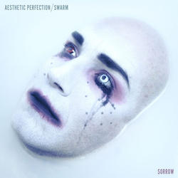 Aesthetic Perfection feat. SWARM - Sorrow (Single) (2026)