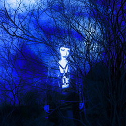 Beta Libre - The Roots And The Blue (2026)