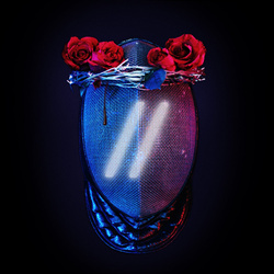 Blackbook - Different (2026)