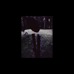 Candle Wishes - The Candle Wishes (2026)