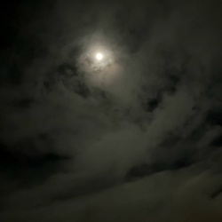 Cindytalk - That We Must Pass Through This Life (2026)