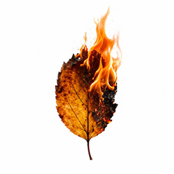 Climate Zombies - A Beautiful Day (Single) (2026)
