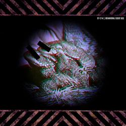 Collapse Unit - Give It To You (Single) (2026)
