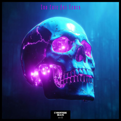 Cybermode Beats - Too Late For Tears (2026)