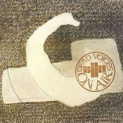 Dead Voices On Air - Mothcomma (2026)