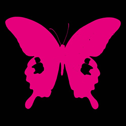 Death Cult - Paradise Live (2026)