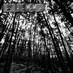 Desolate Memory - Shattered Memories (Single) (2026)