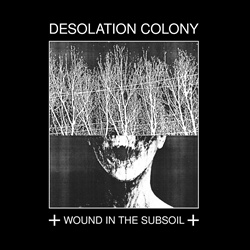 Desolation Colony - Wound In The Subsoil (Redux) (2026)