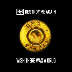 Destroy Me Again - Wish There Was A Drug (Single) (2026)